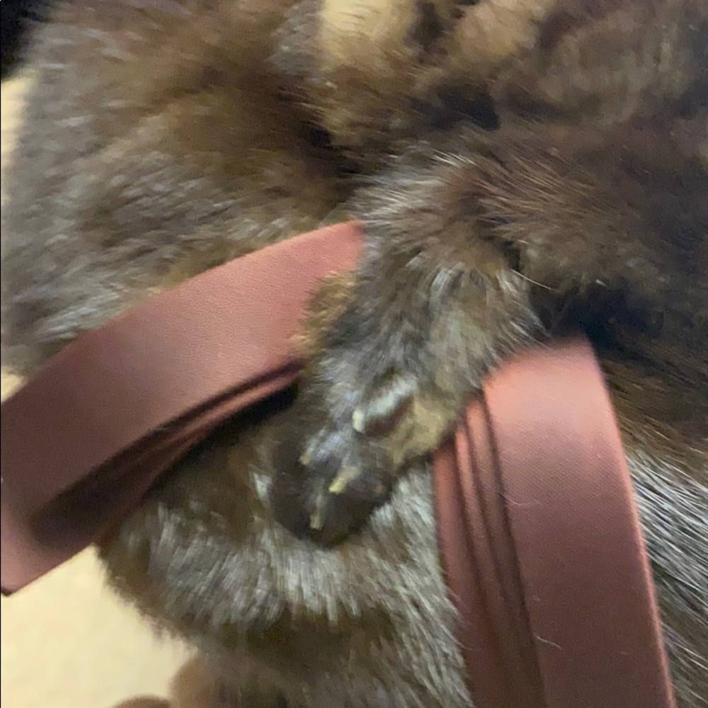 Marshall Fields Vintage Mink Fur Tam Hat - Picture 4 of 7